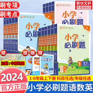 6年级课本教辅练习题册复习资料必刷卷秒刷考点阶段测评卷 北师 小学必刷题一二三四五六年级上册下册语文数学英语人教版 2024新版