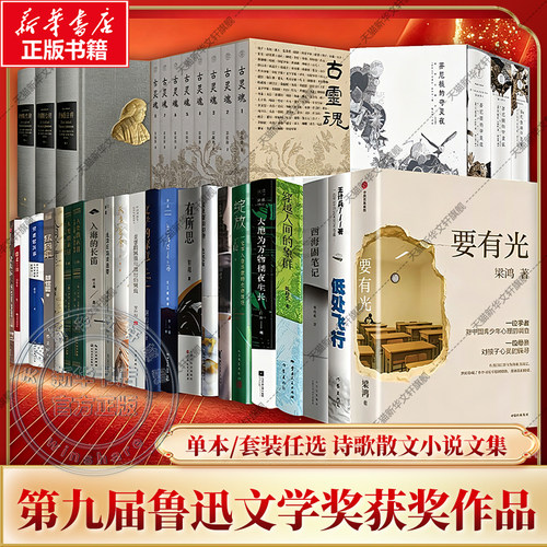 新华书店正版 中国现当代文学 文轩网