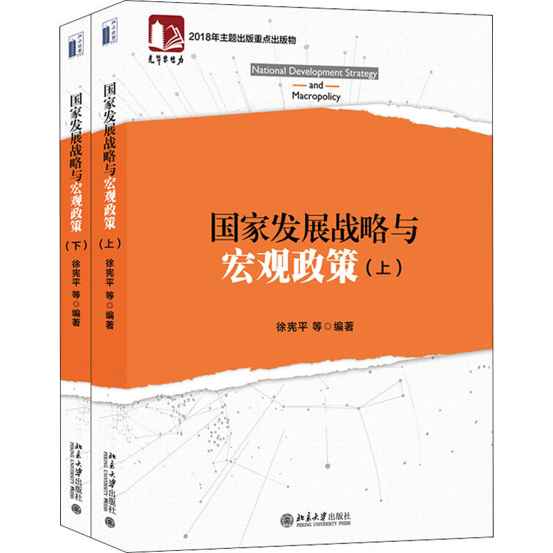 国家发展战略与宏观政策(上下)/徐宪平等 经济学书籍 宏微观经济学理论  徐宪平等 著 新华书店官网正版图书籍
