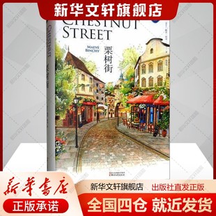 栗树街(爱尔兰)梅芙宾奇著文学书籍外国现当代文学浙江文艺出版社新华文轩旗舰店正版书籍