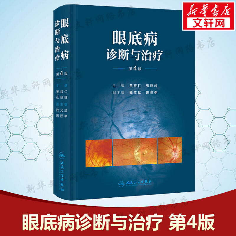 眼底病诊断与治疗 第4版 正版书籍 新华书店旗舰店文轩官网 人民卫生出版社