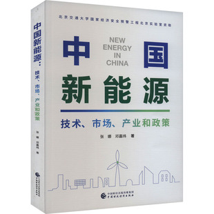 新华文轩 书籍 市场 正版 张娜 技术 中国财政经济出版 社 中国新能源 产业和政策 邓嘉纬 新华书店旗舰店文轩官网