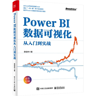 【新华文轩】Power BI数据可视化从入门到实战 袁佳林 著 数据库适合Power BI入门读者及部分进阶读者、亟待提升数据分析效率的职