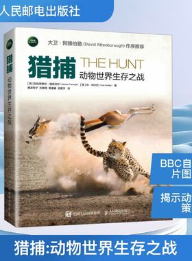 猎捕 动物世界生存之战 (英)阿拉斯泰尔·福瑟吉尔(Alastair Fothergill),(英)休·科尔代(Huw Cordey) 著
