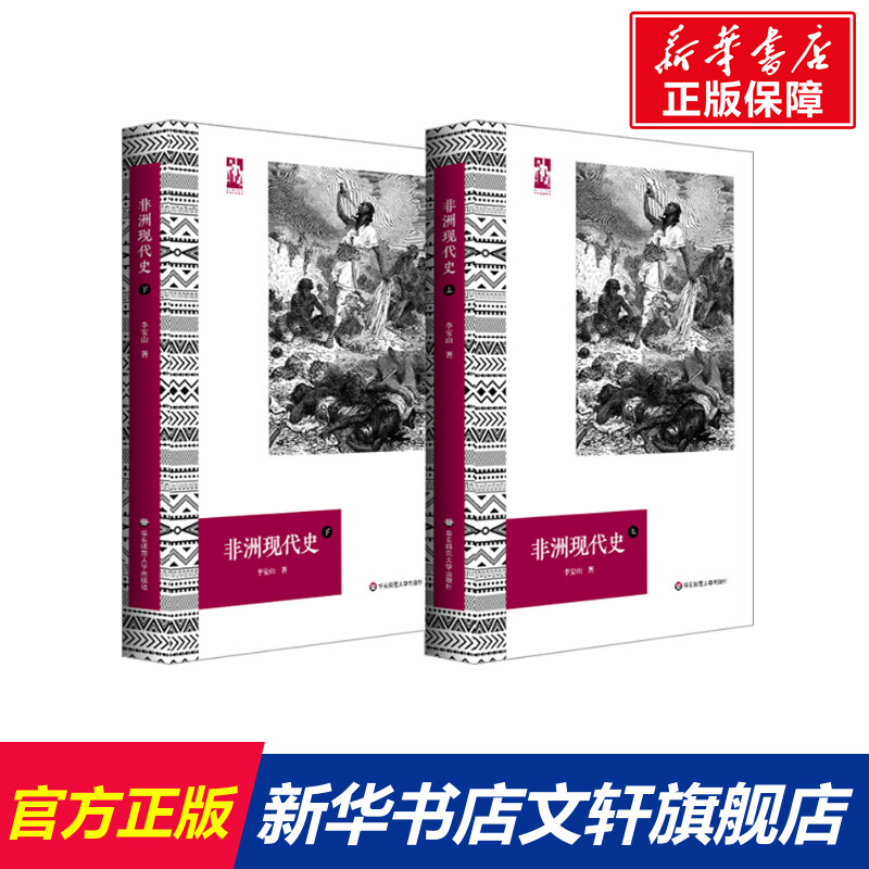 【新华文轩】非洲现代史(上下)(精)/六点非洲系列李安山华东师范大学出版社正版书籍新华书店旗舰店文轩官网