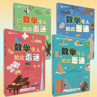 【新华文轩】数学令人如此着迷全套4册 数学科普书 数学科普与知识点应用相结合综合思维能力提升慕振亮,张靖 等编 电子工业出版社