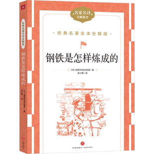【新华文轩】钢铁是怎样炼成的 (苏)奥斯特洛夫斯基 正版书籍 新华书店旗舰店文轩官网 天地出版社