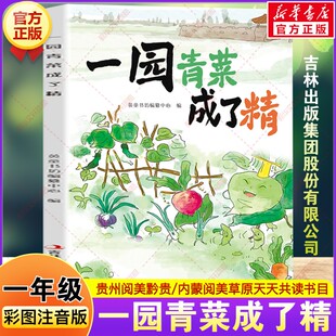一园青菜成了精全彩注音版 一年级春季阅读书籍贵州阅美黔贵内蒙阅美草原绘本小学生一年级阅读课外书必读吉林出版集团股份有限公
