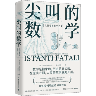尖叫的数学 令人惊叹的数学之美 (意)翁贝托·博塔兹尼 正版书籍 新华书店旗舰店文轩官网 湖南科学技术出版社