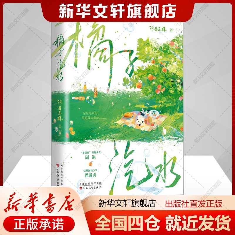 新华书店正版 青春小说 文轩网