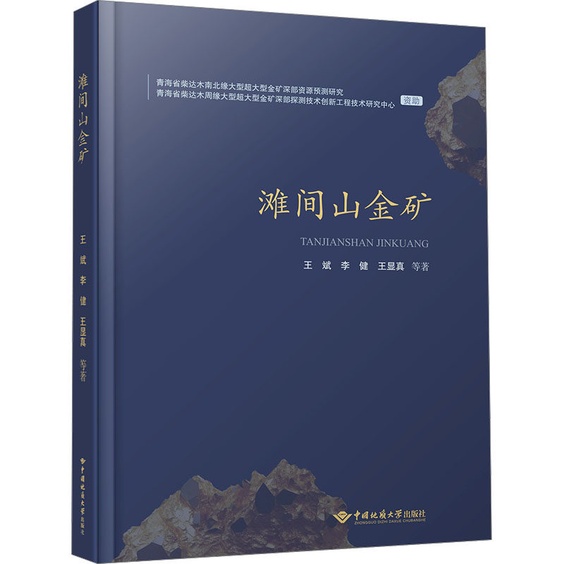 滩间山金矿 王斌,李健,王显真 正版书籍 新华书店旗舰店文轩官网 中国地质大学出版社