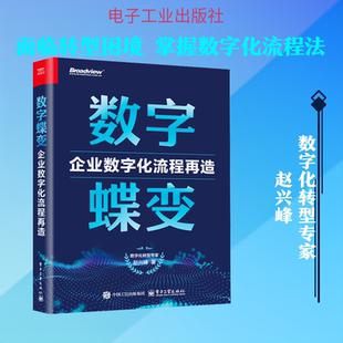 数字蝶变:企业数字化流程再造 赵兴峰 著 电子工业出版社 正版书籍 新华书店旗舰店文轩官网