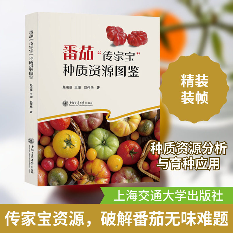 番茄
