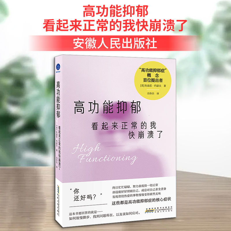 高功能抑郁 看起来正常的我快崩溃了（“高功能抑郁症”概念提出者，“五V疗法”告别自我牺牲与自我破坏）