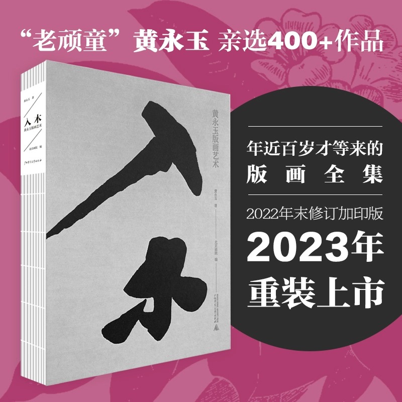 入木 黄永玉版画艺术 黄永玉 正版书籍 新华书店旗舰店文轩官网 广西师范