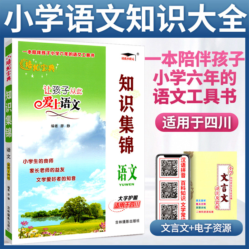语文四川专版培优宝典升级版小升初知识大集结让孩子从此爱上语文 小