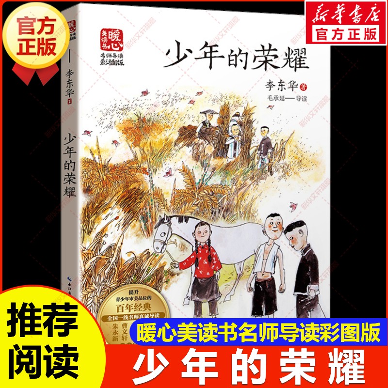 少年的荣耀暖心美读书名师导读