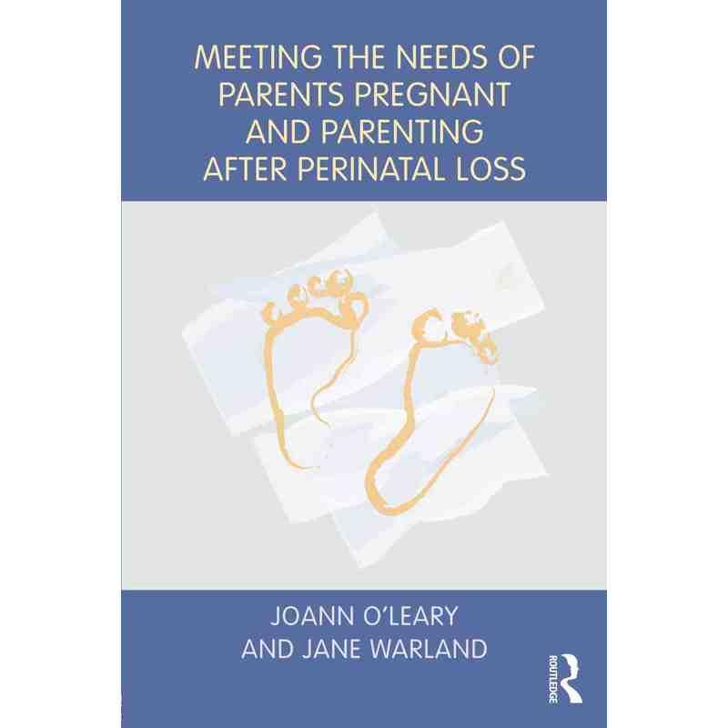 围产期失去后怀孕与育儿父母需求满足MEETING THE NEEDS OF PARENTS PREGNANT AND PARENTING AFTER PERINATAL LOSS原版引进