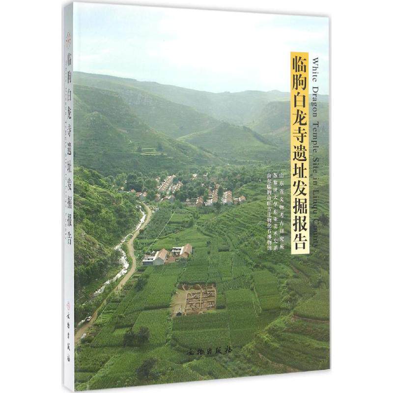 临朐白龙寺遗址发掘报告 山东省文物考古研究所,苏黎世大学东亚美术史系,山东临朐山旺古生物化石博物馆 编著 文物出版社