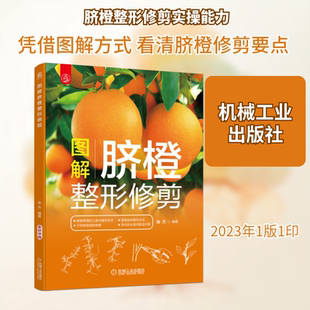 官网正版 图解脐橙整形修剪 陈杰 复芽 顶芽 树体结构 结果母枝 叶龄 绿叶层 物候期 生物学年龄期 削枝刀 操作技术 农业种植