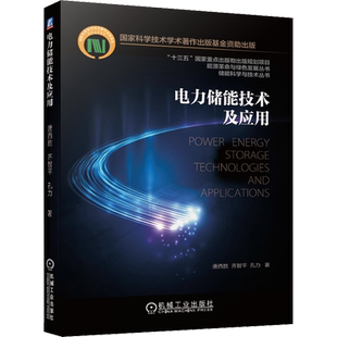 官网正版 电力储能技术及应用 十三五重点出版物出版规划项目 系统设计 运行控制 大数据分析 微电网 可再生能源