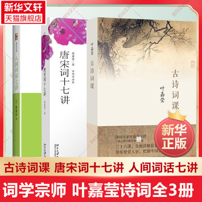 套装三册小词大雅人间十七叶嘉莹