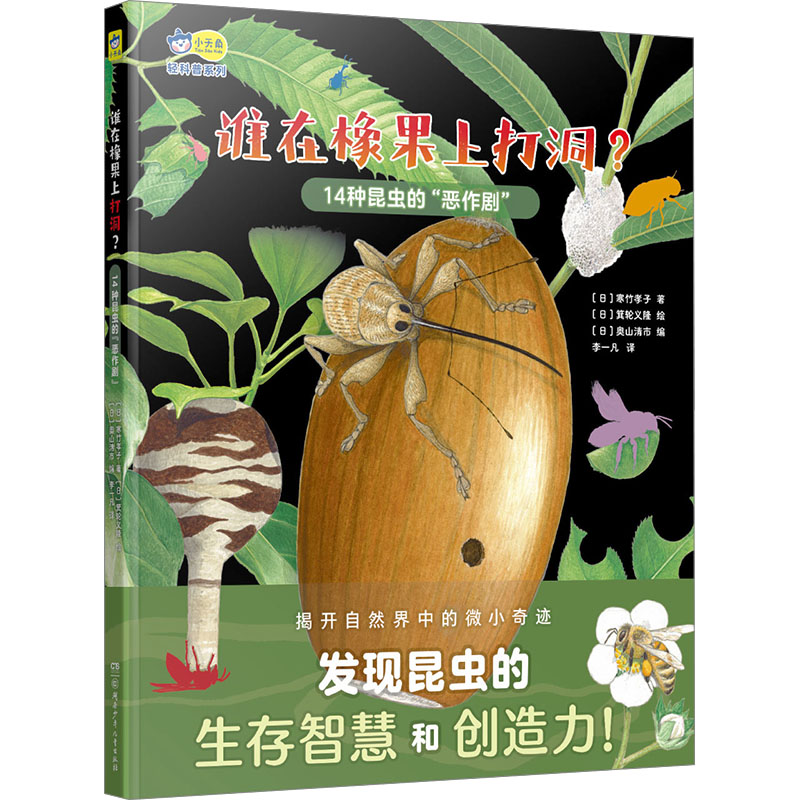 新华书店正版 绘本 文轩网