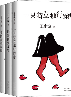 正版王小波杂文集套装4册