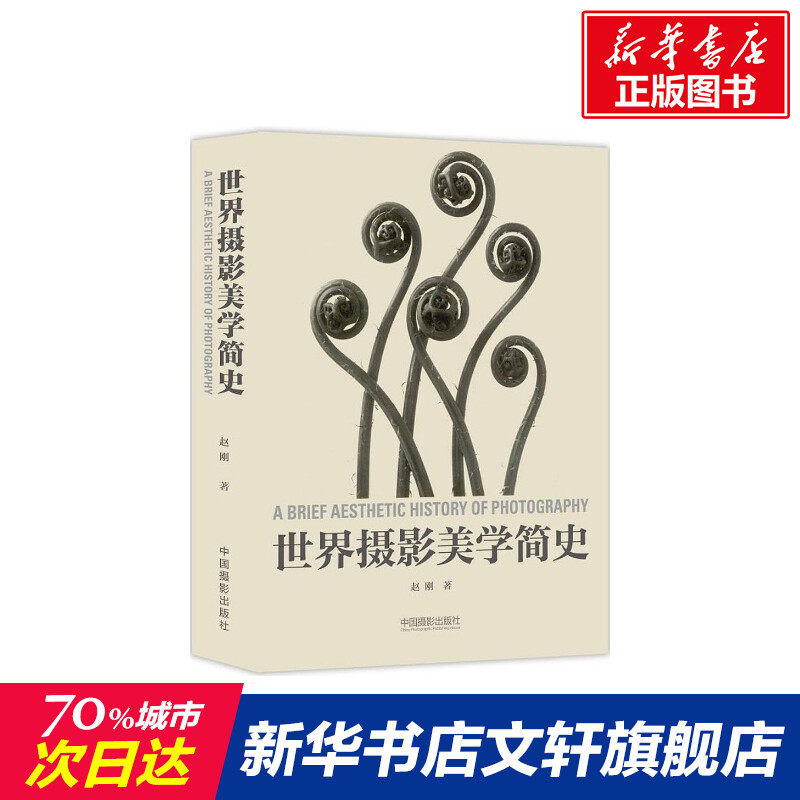 世界摄影美学简史 赵刚 编著 正版书籍 新华书店旗舰店文轩官网 中国摄影出版社高性价比高么？