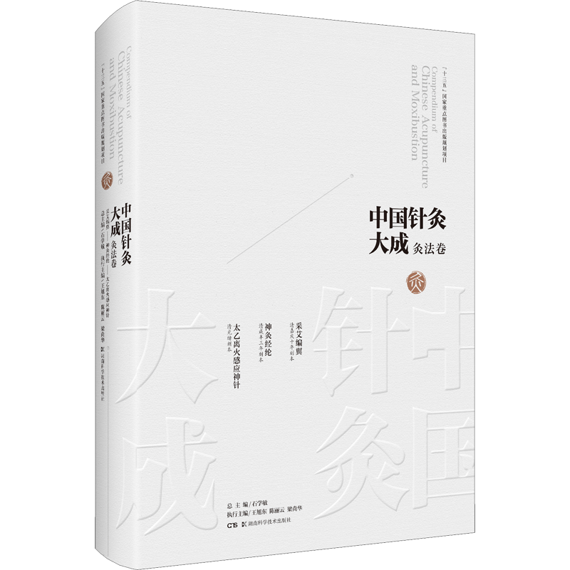 中国针灸大成 灸法卷 采艾编翼 神灸经纶 太乙离火感应神针 正版书籍 新华书店旗舰店文轩官网 湖南科学技术出版社