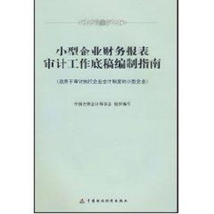 小型企业财务报表审计工作底稿编制指南 中国注册会计师协会 著作 中国财政经济出版社 正版书籍 新华书店旗舰店文轩官网