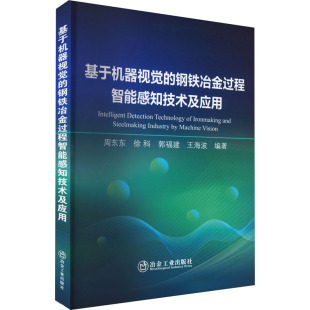 钢铁冶金过程智能感知技术及应用 冶金工业出版 正版 新华书店旗舰店文轩官网 社 书籍 基于机器视觉