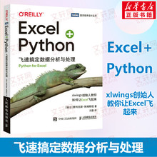 Excel+Python 飞速搞定数据分析与处理  python编程从入门到实战办公软件应用从入门到精通excel数据分析电脑教程书人民邮电出版社