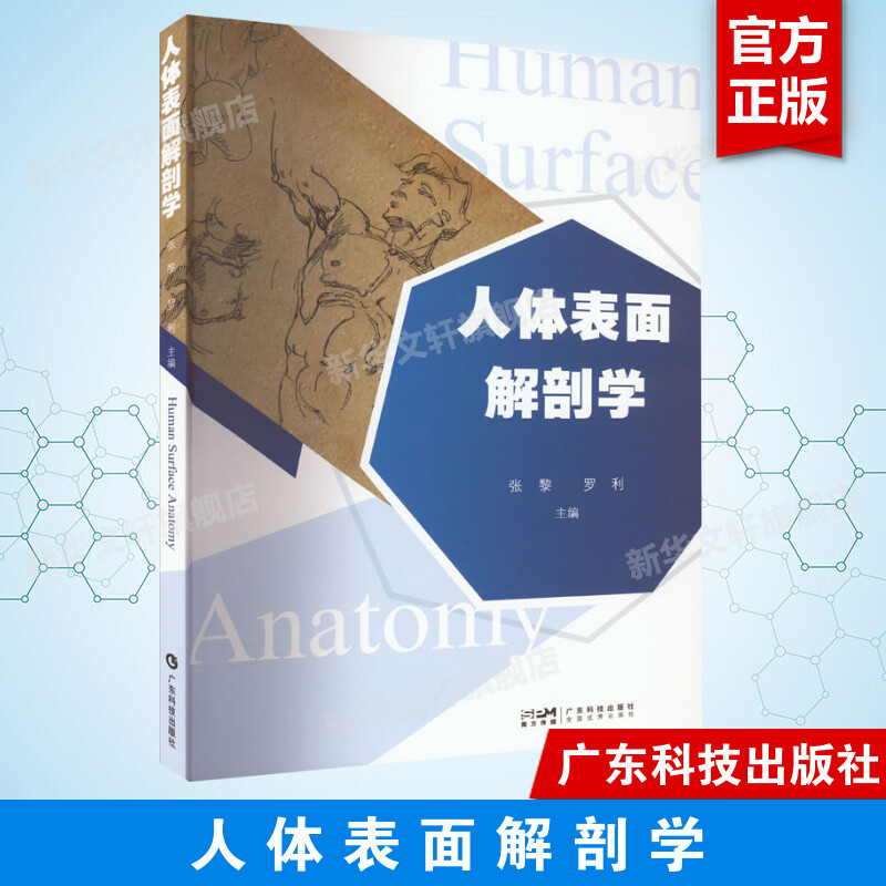 人体表面解剖学 医学艺术体育创新型教材 人体解剖透视图线条彩色图谱 人体解剖学临床医师针灸师康复治疗师学生教师参考 正版书籍