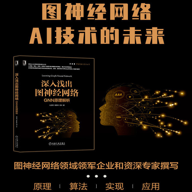 正版 深入浅出图神经网络:GNN原理解析 人工智能机器智能系统与技术丛书 神经网络基础与机器学习 神经网络专家研究实践总结书籍怎么看?