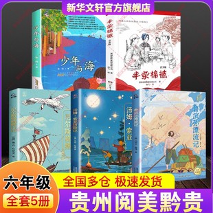 贵州阅美黔贵六年级寒假必读共读书目小学生课外阅读书籍鲁滨孙漂流记尼尔斯骑鹅旅行记汤姆索亚历险记名作精编版半条棉被少年与海