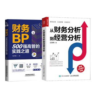 2册 CFO能力提升 从财务分析到经营分析 企业经营 500强高管 冯月思 财务进阶 财务报表分析 财务BP 袁国辉 实践之道 正版