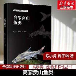高黎贡山鱼类 陈小勇 曾宇旸 编 高黎贡山生物多样性丛书 中国鸟类科普自然科学书籍 云南科学技术出版社 正版