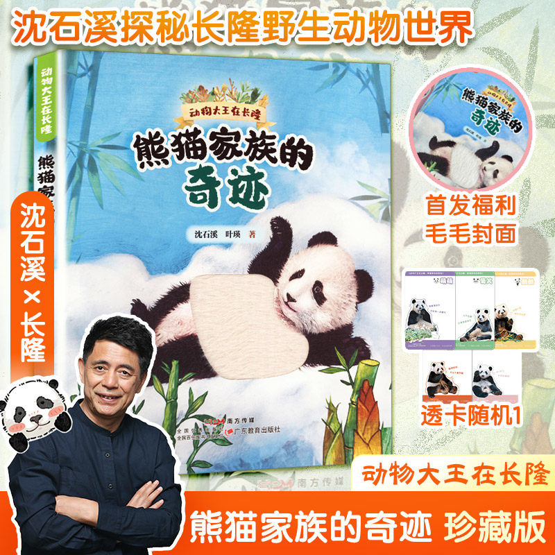 动物大王在长隆 熊猫家族的奇迹 珍藏版沈石溪首部探秘长隆野生动物园世界动物小说大熊猫妹猪萌萌酷酷菊笑帅帅的故事儿童必读书籍