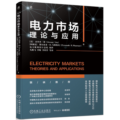 官网正版 电力市场 理论与应用 杰里米 林 电力系统 电力市场设计 结构和运行 分区与节点定价对比 输电定价机制 智能电网