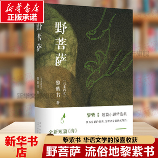特别收入全新短篇 海 年代作者 野菩萨 现当代文学散文随笔畅销书籍排行榜 告别 黎紫书短篇小说精选集 流俗地 官方正版 暂停键