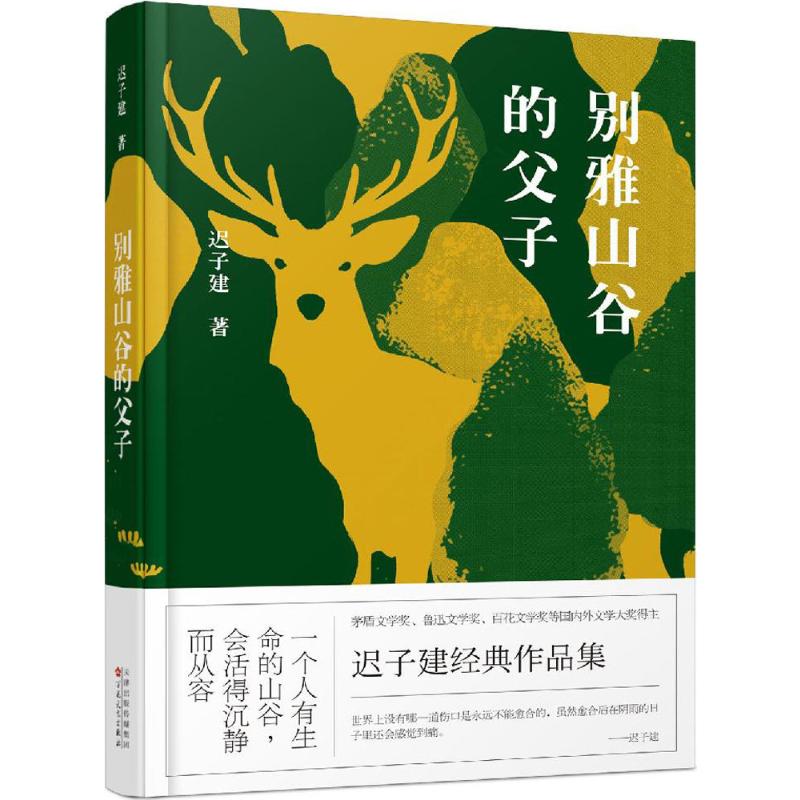 【新华书店】别雅山谷的父子迟子建著言情爱情小说男女生系列甜宠青春校园文学畅销书籍百花文艺出版社