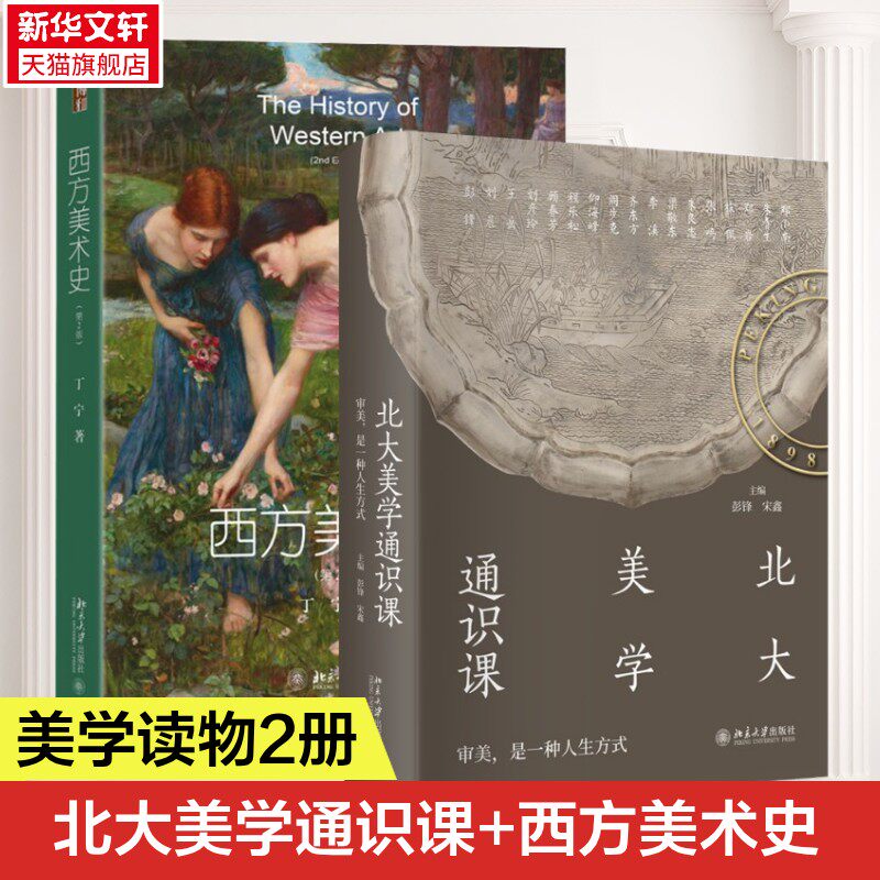 全2册西方美术史+北大美学通识课 丁宁 彭锋 讲座实录 附赠课堂视频 中国古代佛教艺术欣赏敦煌艺术中国美术史 宋代诗词自然观照
