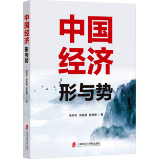 邸俊鹏 邵晓翀 书籍 形与势 新华书店旗舰店文轩官网 正版 张兆安 社 中国经济 上海社会科学院出版