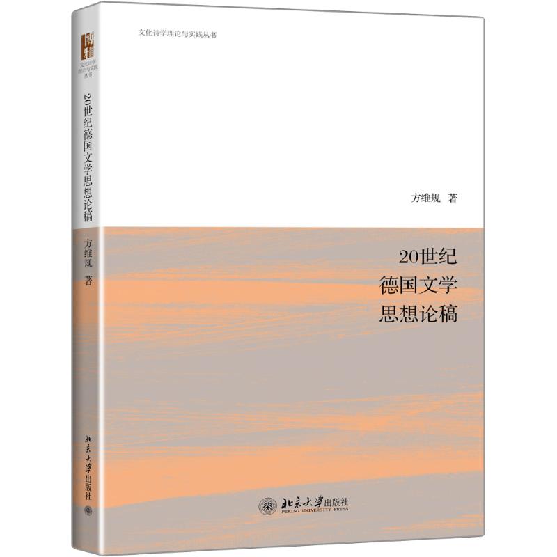 【新华文轩】20世纪德国文学思想论稿方维规正版书籍小说畅销书新华书店旗舰店文轩官网北京大学出版社