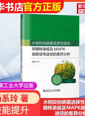 【官方正版】水稻纹枯病菌选择性侵染早期转录组及MAPK级联信号途径的差异分析哈尔滨工业大学出版社杨系玲 著大学教材97875767181
