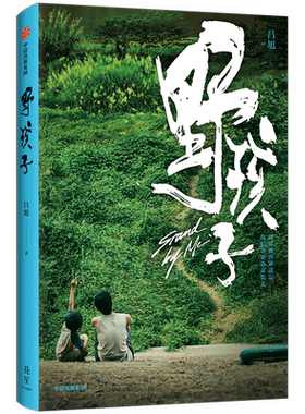 野孩子【赠海报+书签+明信片+剧照卡】王俊凯主演电影原著小说 今日说法流浪兄弟真实事件 聚焦社会困境儿童诠释爱与陪伴的意义书