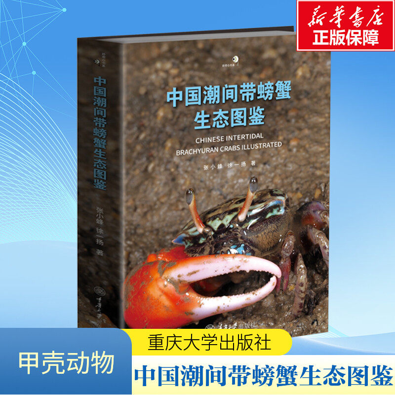 中国潮间带螃蟹生态图鉴 一本覆盖中国海域的海洋蟹类生态图鉴 精心筛选2700余幅高清的彩色生态图像