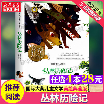 丛林历险记 国际大奖儿童文学美绘典藏版吉卜林原著完整版经典名著儿童故事书必小学生三四五六年级课外书推荐阅读寒暑假书目正版