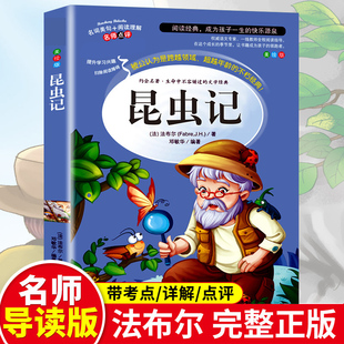 昆虫记法布尔正版原著完整版法布尔著全集小学生三四年级下册课外书必读推荐美绘版人民儿童文学教育阅读书籍山东美术出版社全册上